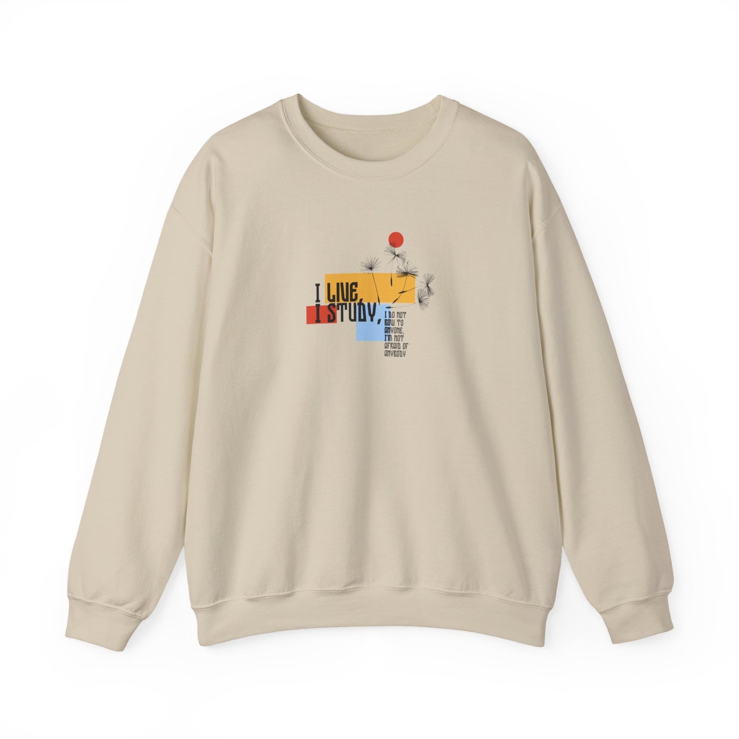 Women's Soft Sweatshirt