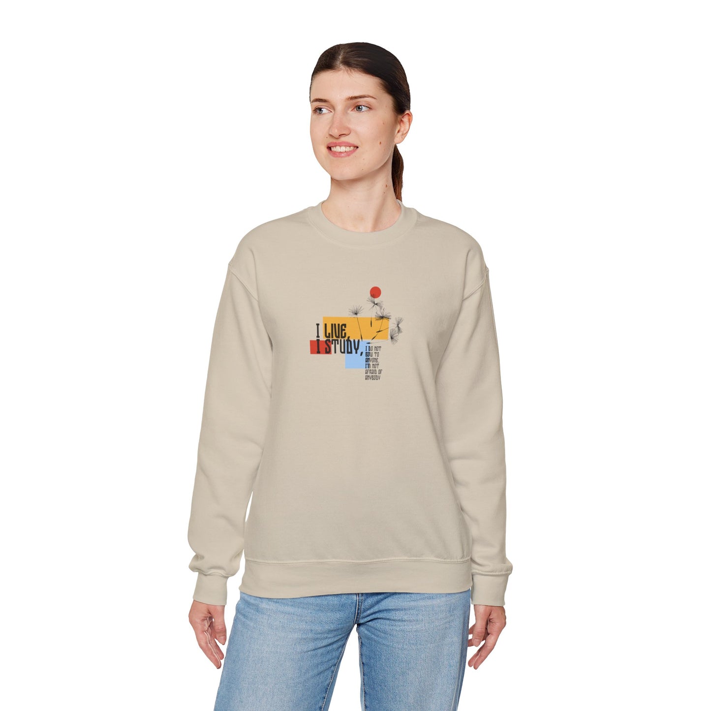 Women's Soft Sweatshirt